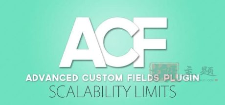 Advanced Custom Fields PRO 6.4.0.1 | WordPress自定义字