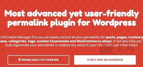 Permalink Manager Pro 2.5.1.1 | 固定链接管理器WordPress插件