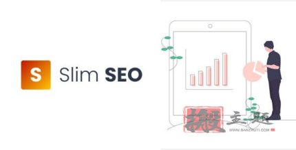 Slim SEO Pro 4.5.0合集|快速自动化WordPress SEO插件