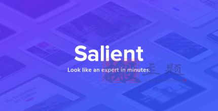 Salient 17.2.0破解版|多功能响应式WordPress主题