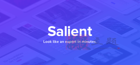 Salient 17.2.0破解版|多功能响应式WordPress主题