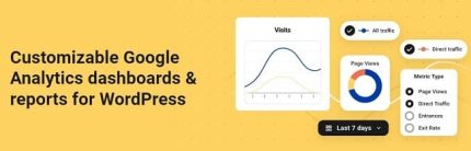 Beehive Pro高级Google Analytics插件