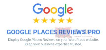 Google Places Reviews Pro 2.5.2 | 谷歌企业评论和评分插件